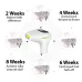 BoSidin At-Home IPL Laser Hair Removal for Women and men Permanent hair removal